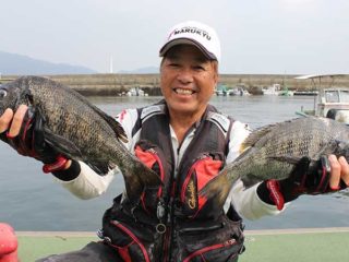 広島湾の船タチウオ 倉橋島沖 広島県呉市 広島釣り情報 釣りぽ