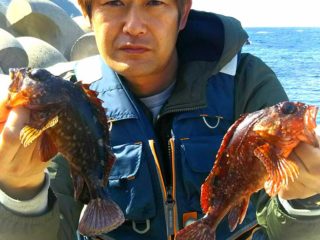 寒風の中 カサゴがヒット 加賀 桂島 島根県島根町加賀 釣りぽ