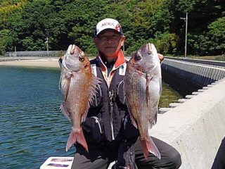 広島湾の船タチウオ 倉橋島沖 広島県呉市 広島釣り情報 釣りぽ