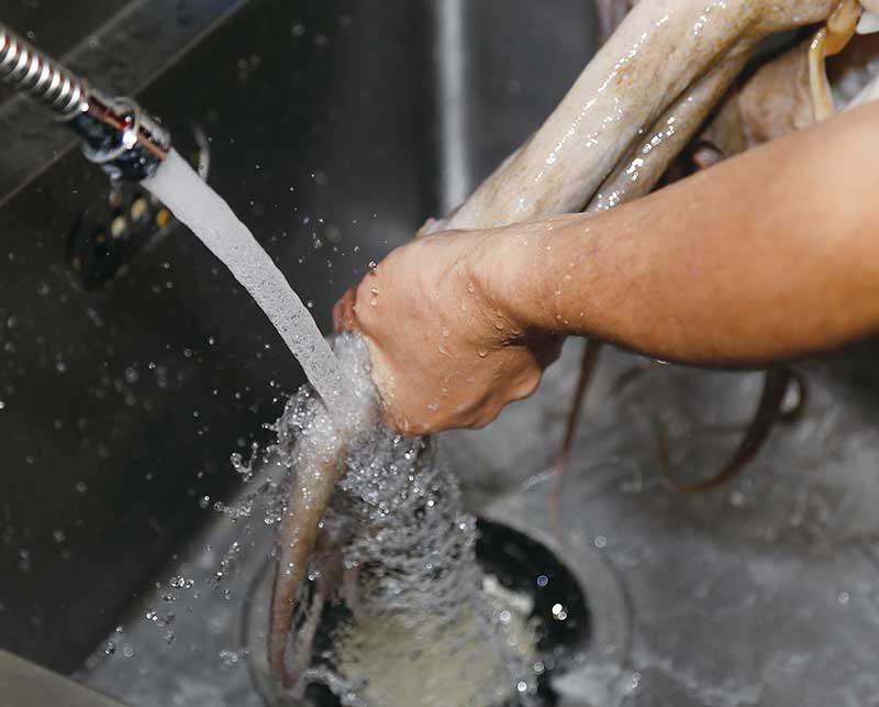 釣魚料理 マダコの下処理 ヌメリ取り 下茹で 方法 釣りぽ