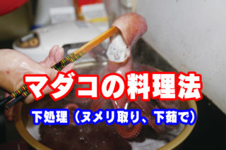 釣ったタコをおいしく食べよう 初めてでも簡単 マダコの下処理 茹で方 釣りぽ