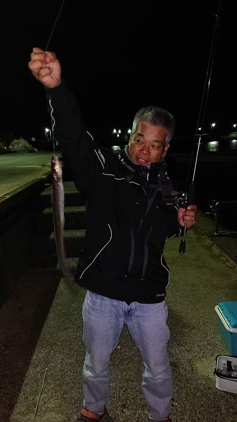 周防大島の夜釣りで釣ったアナゴ