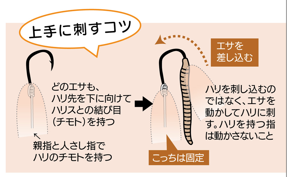釣果が上がる 釣りエサの付け方 | 釣りぽ TSURIPO