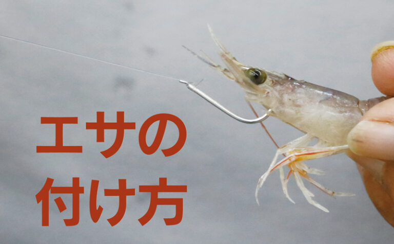 釣果が上がる 釣りエサの付け方 | 釣りぽ TSURIPO