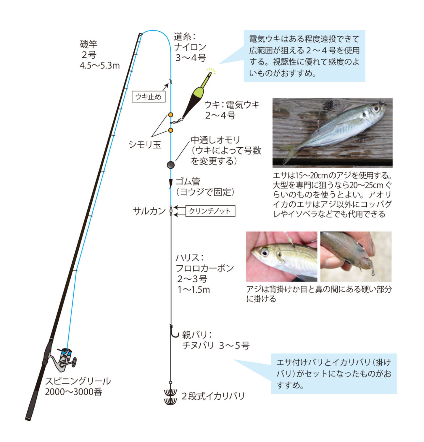 仕掛け＆釣り方 アオリイカ 泳がせ釣り ウキ釣り ヤ …