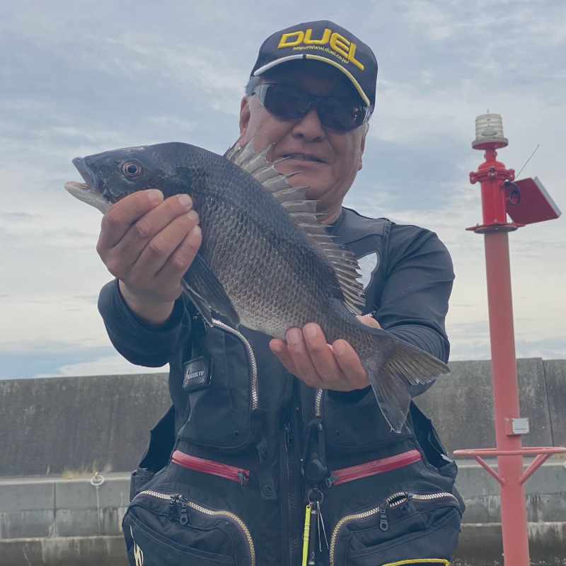 周防大島で釣ったチヌ