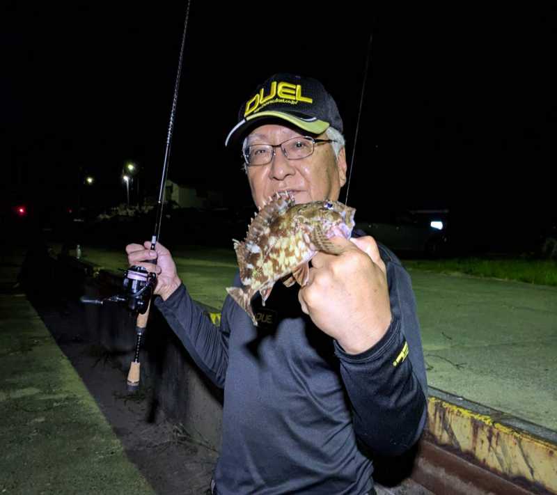 周防大島 夜釣りのカサゴ