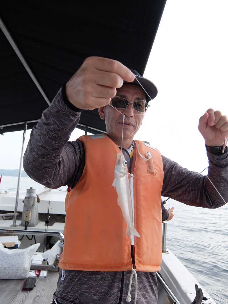 釣り船くわだの釣果のキス