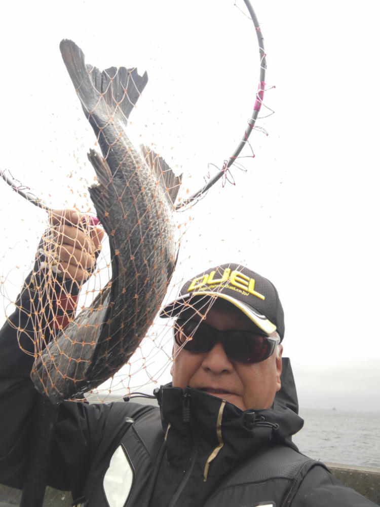 似島で釣ったチヌ