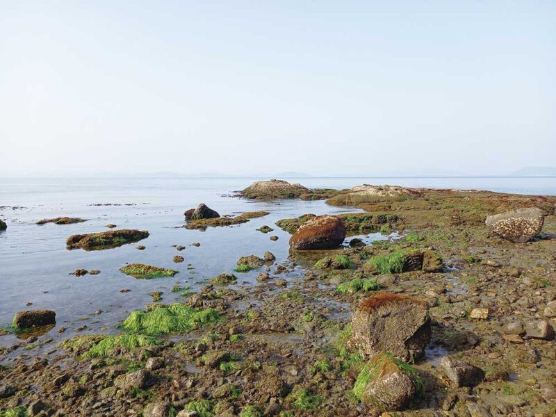 釣り場の確認