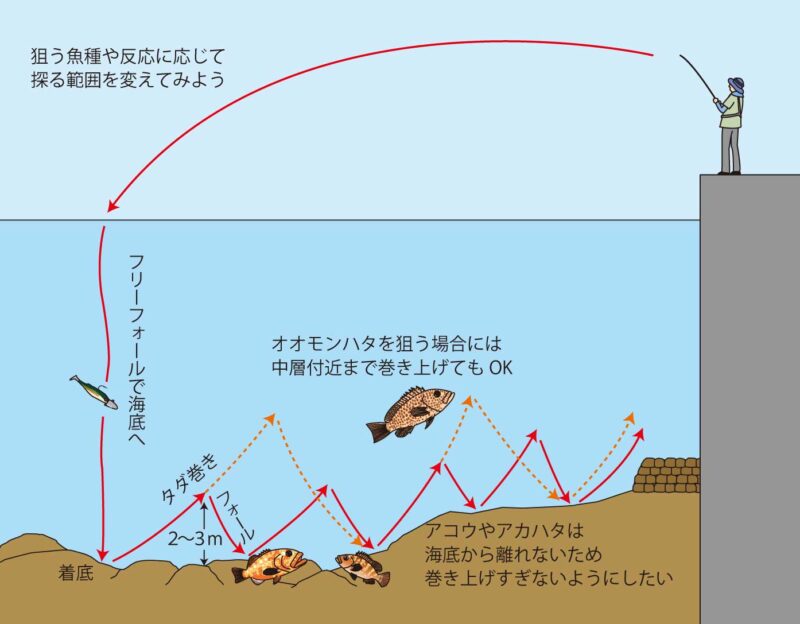 ロックフィッシュのアクション