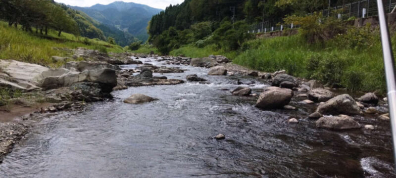 矢田川 アユ釣り