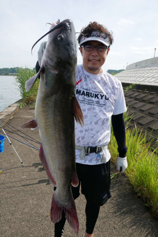 良型のアメリカナマズ 霞ヶ浦