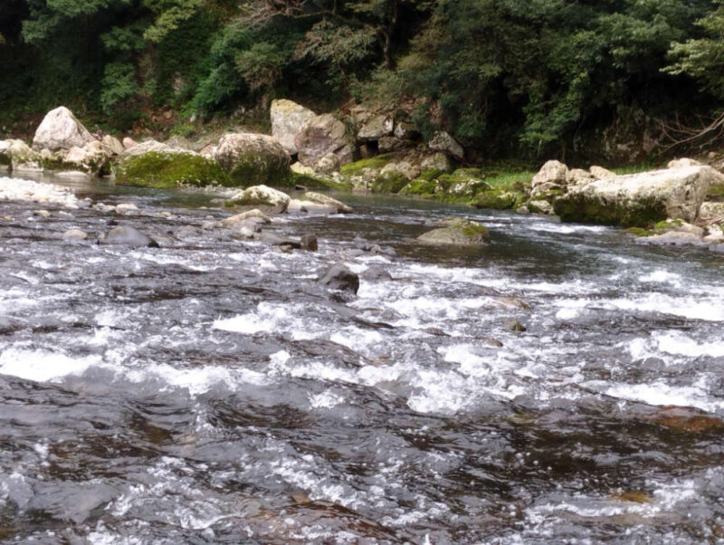 矢田川 鮎釣り