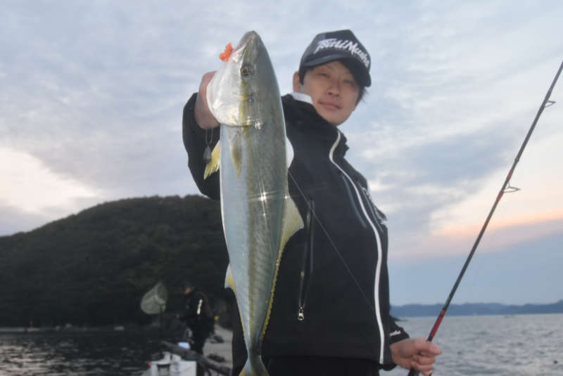 家島の波止で釣れたメジロ