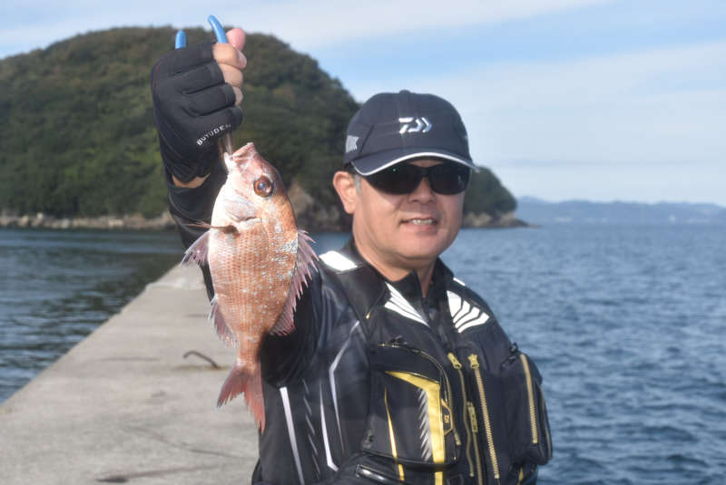 家島で釣れたマダイ