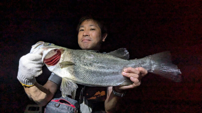 ライトタックル ヒラスズキ釣り