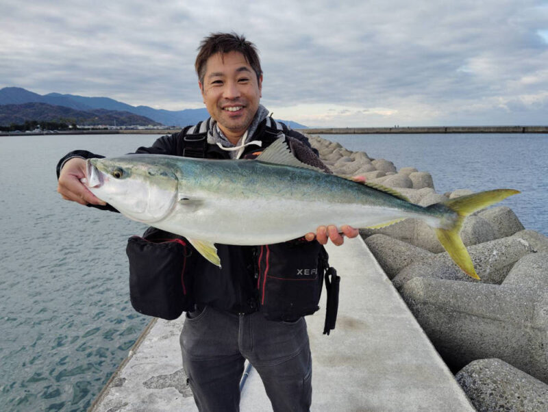 波止で釣れたハマチ