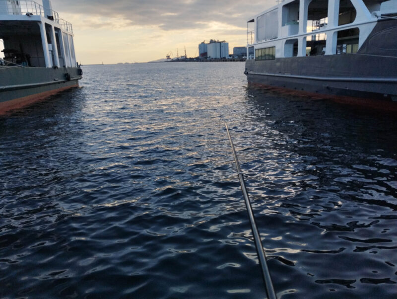 姫路港の釣り