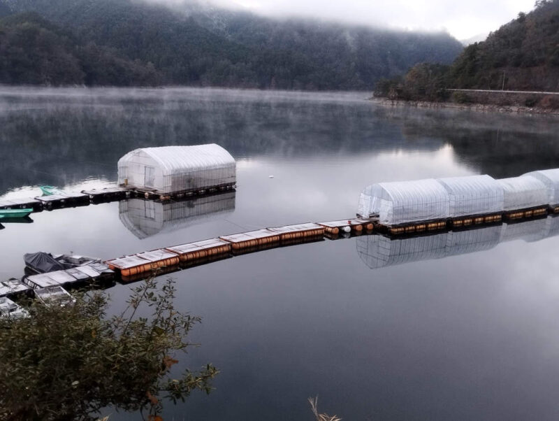 生野銀山湖 湖畔