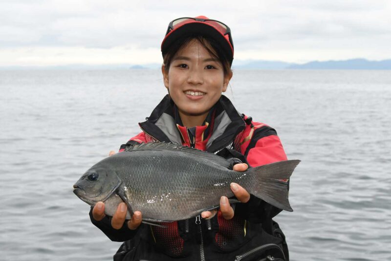 日振島で釣ったグレ