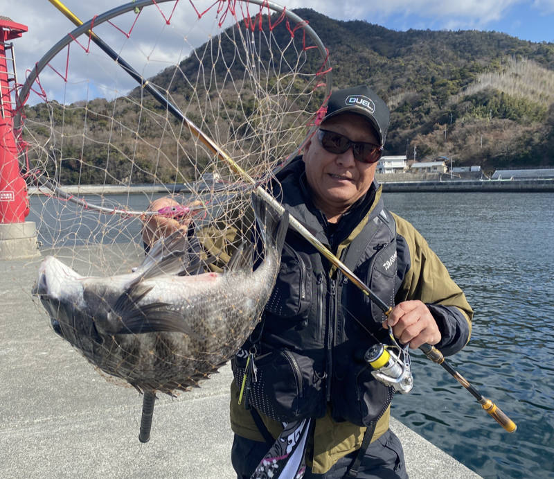 似島で釣ったチヌ