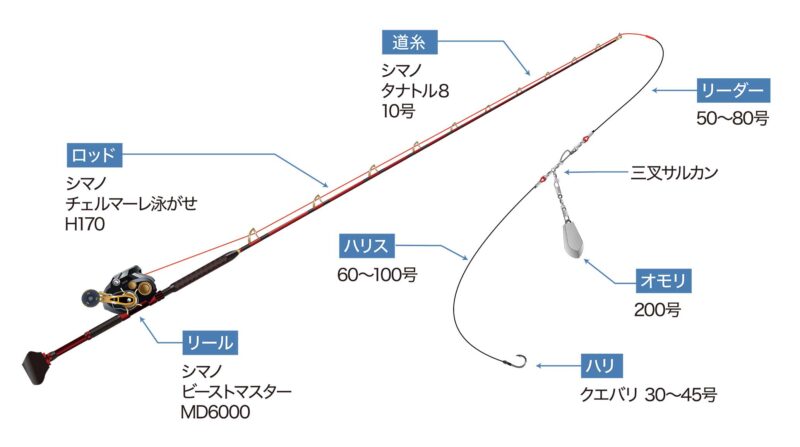 室戸岬 泳がせ釣り仕掛け