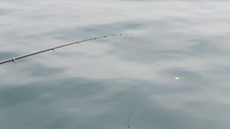 鱗海の穂先