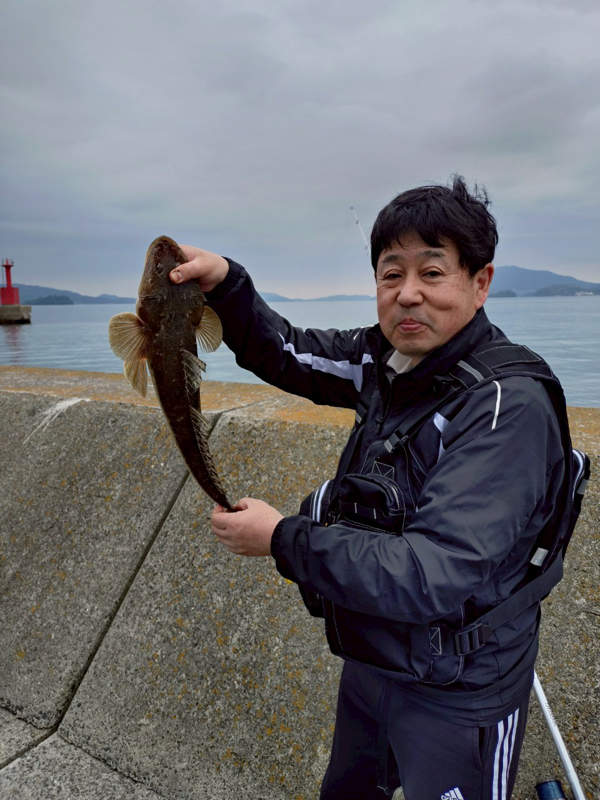 マゴチの釣果 柳井