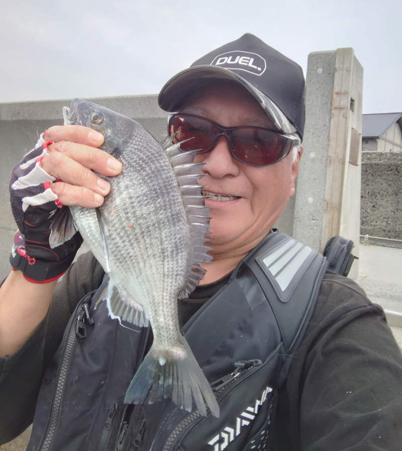 周防大島 開作で釣ったチヌ