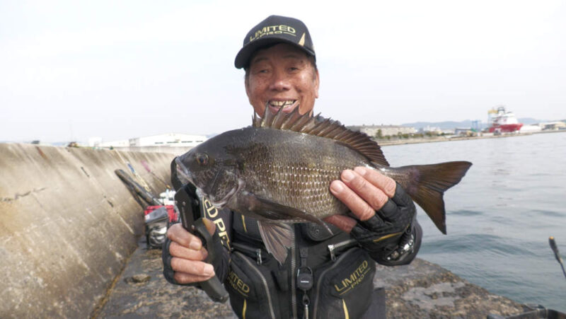 良型チヌを釣る大知