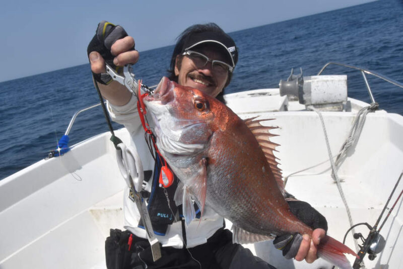 津居山マダイ釣果