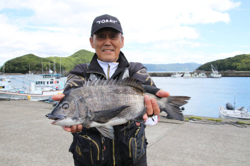 宿毛湾のチヌ