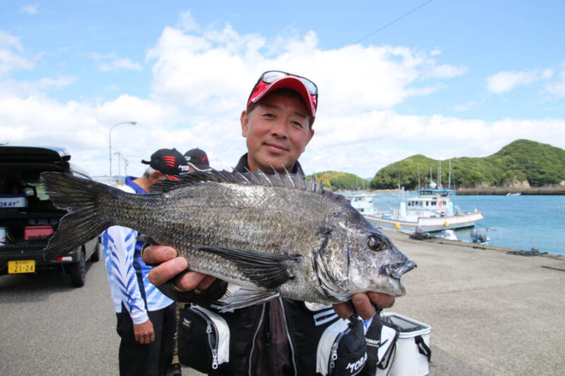 宿毛湾のチヌ釣果