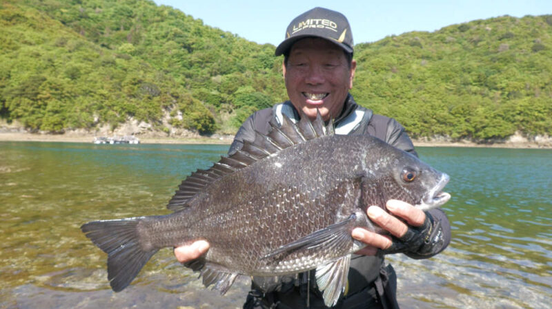 大知昭と巨チヌ