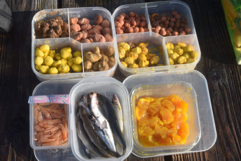 海上釣堀用のエサ