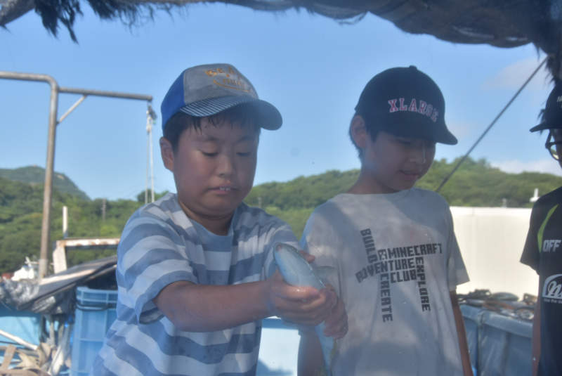 海恵 魚掴みどり