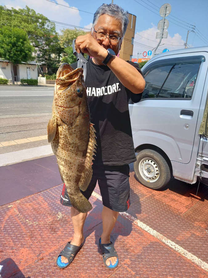 須崎のチャイロマルハタ