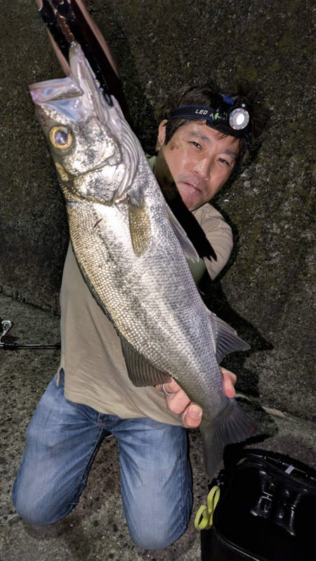 愛南町で釣ったヒラスズキ
