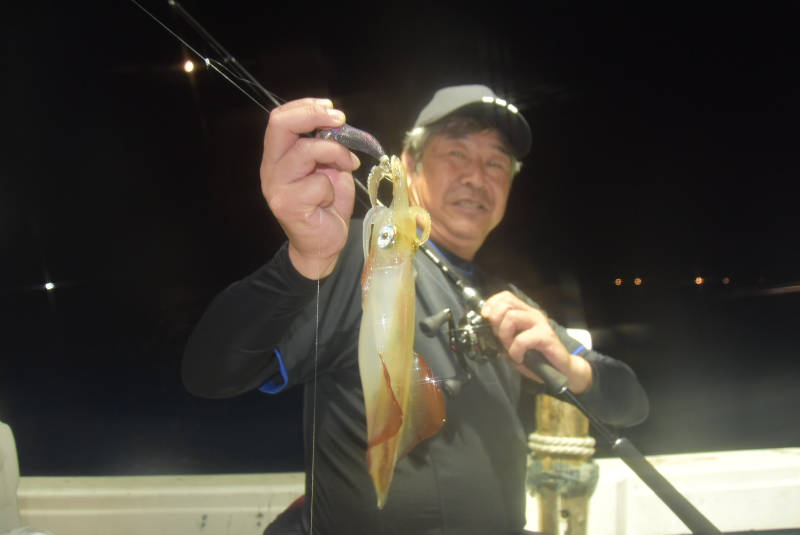 釣れたイカ