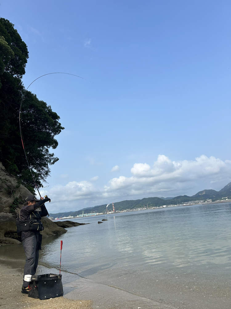 釣る大知昭