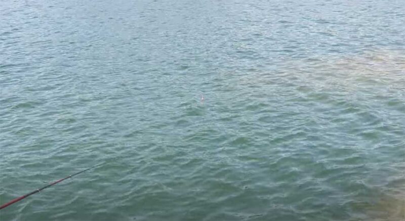 シモリ際を釣る
