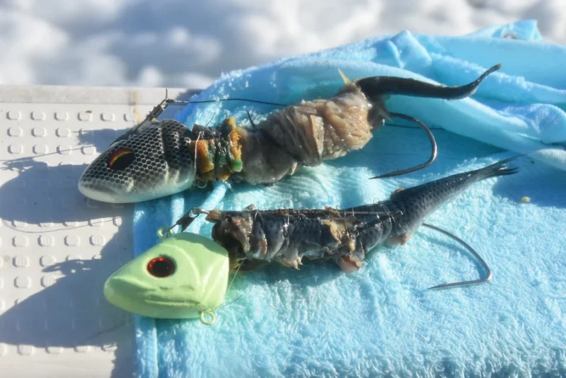 タチウオテンヤとエサ