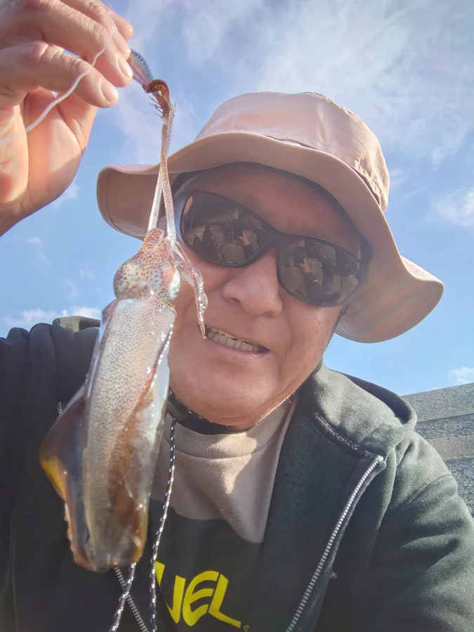 周防大島のアオリイカ釣り