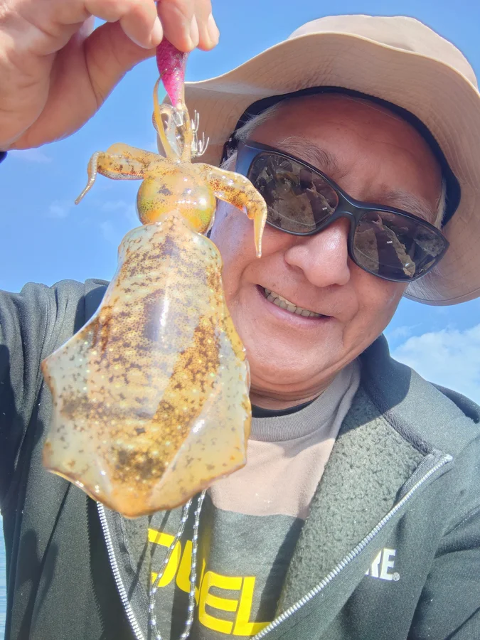 周防大島 アオリイカ