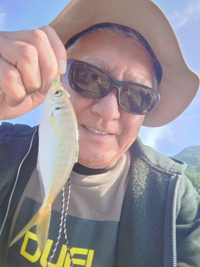 周防大島 アジング