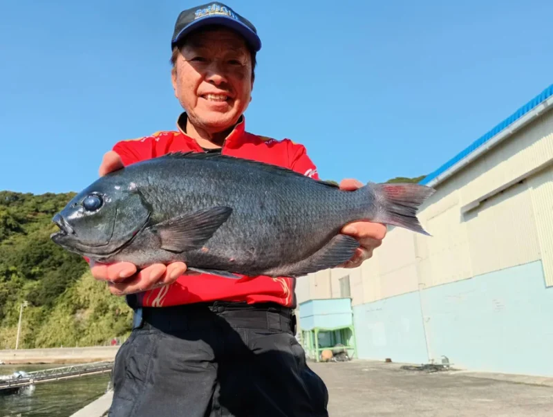 矢ヶ浜のグレを持つ大知昭