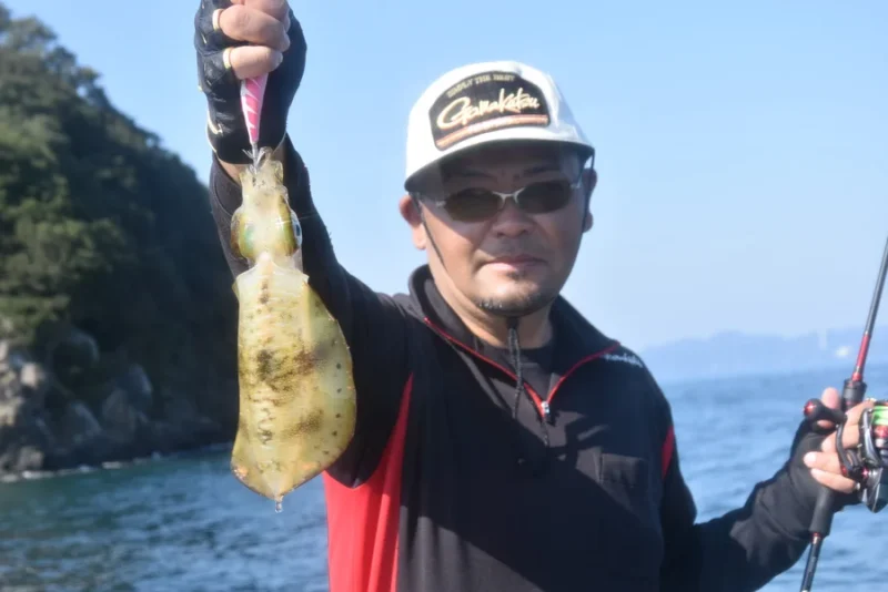 家島一文字でエギング