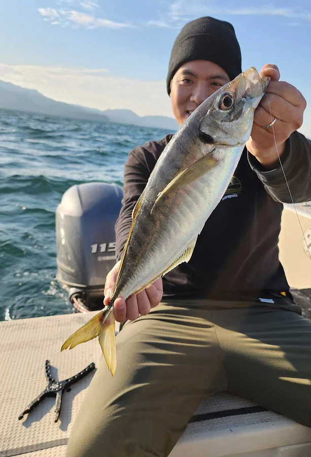 バチコンで釣れたギガアジ