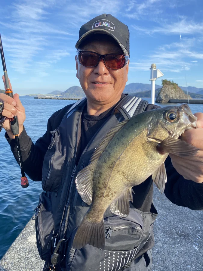 柳井沖一文字メバル